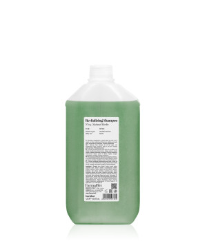 BackBar Č.04 Revitalizing Shampoo - Prírodné bylinky 5000 ml